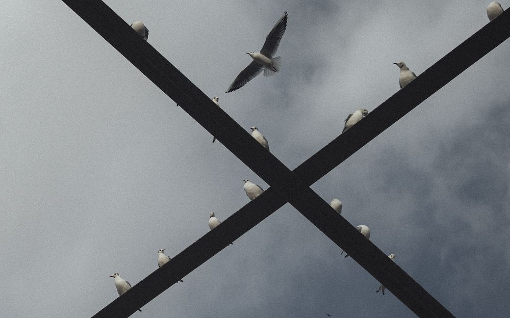 Photograph by Hossein Safaei