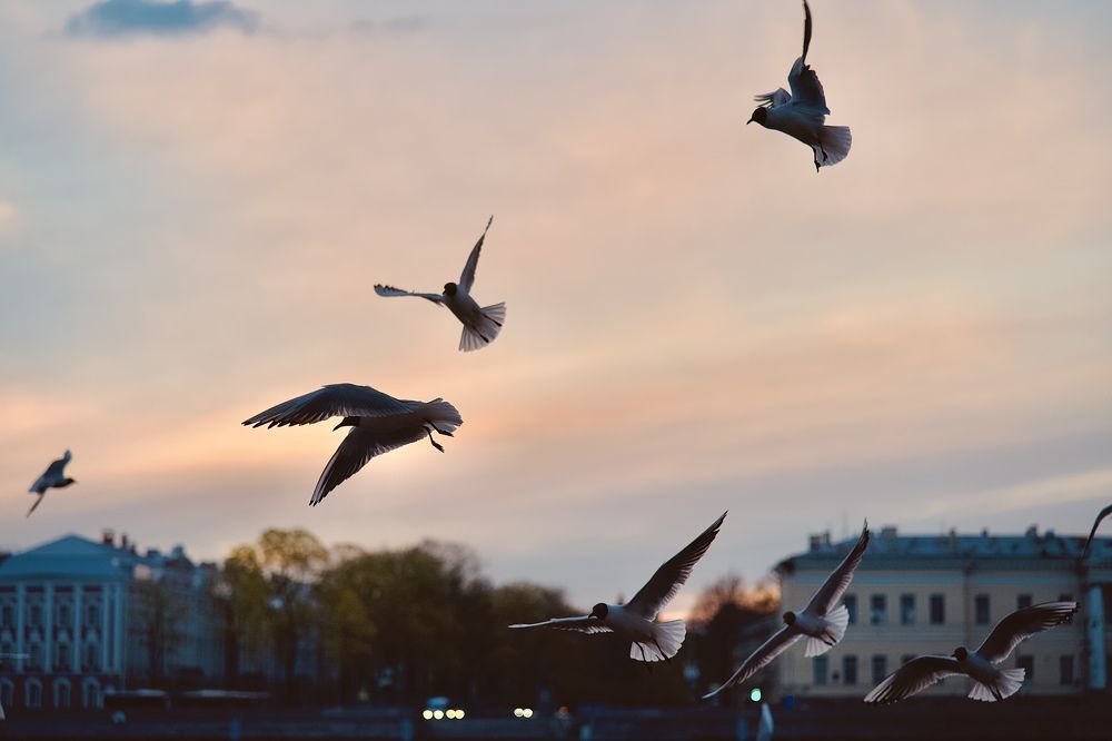 Фотография автора Глеб Колобаев