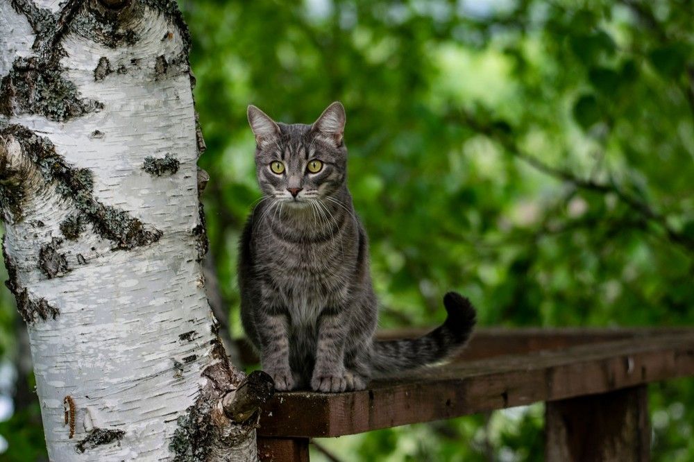 Photograph by Алексей Логинов