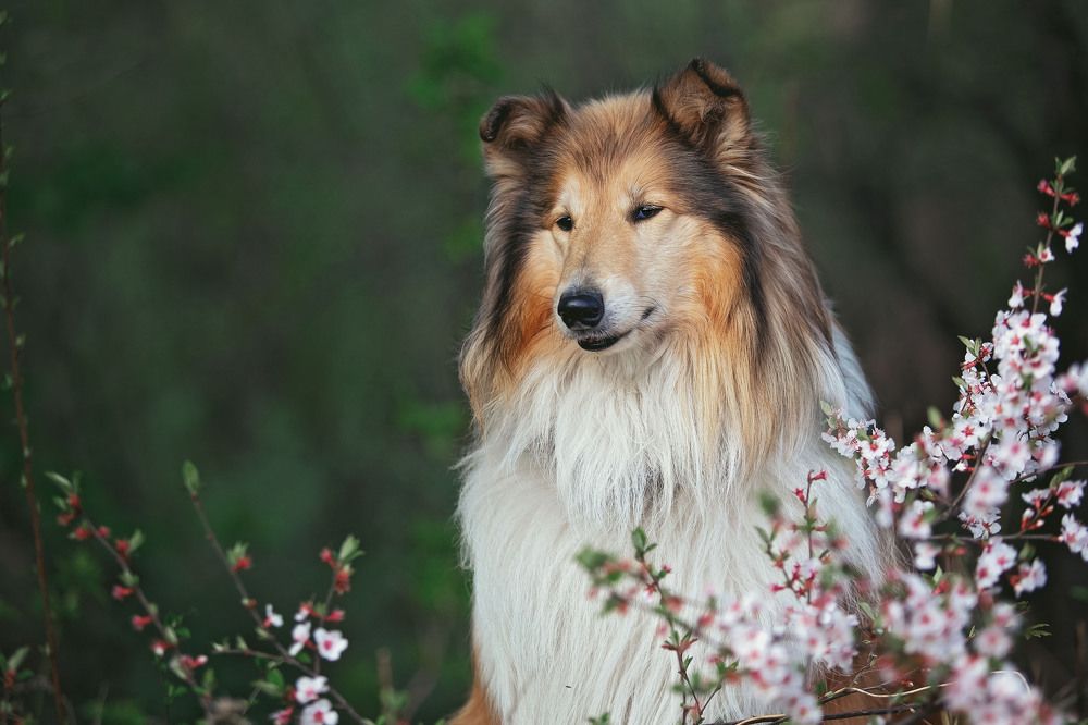 Photograph by СВЕТЛАНА ГРАЧЕВА