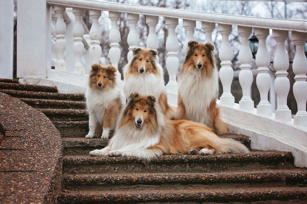 Photograph by СВЕТЛАНА ГРАЧЕВА