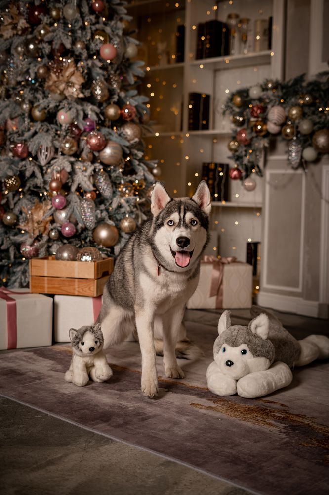 Photograph by Алина Тихонова