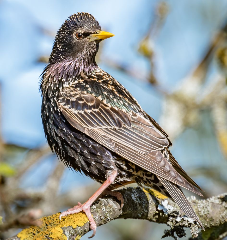 Photograph by Курлянцев Алексей