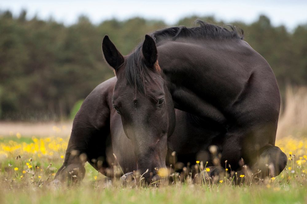 Photograph by Александра Савельева