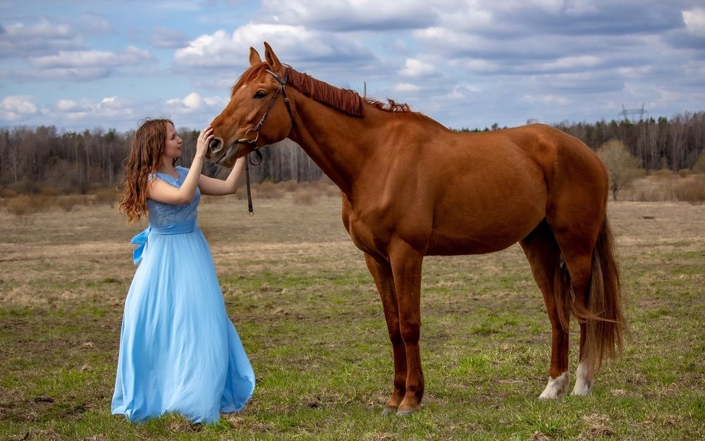 Photograph by ЮЛИЯ