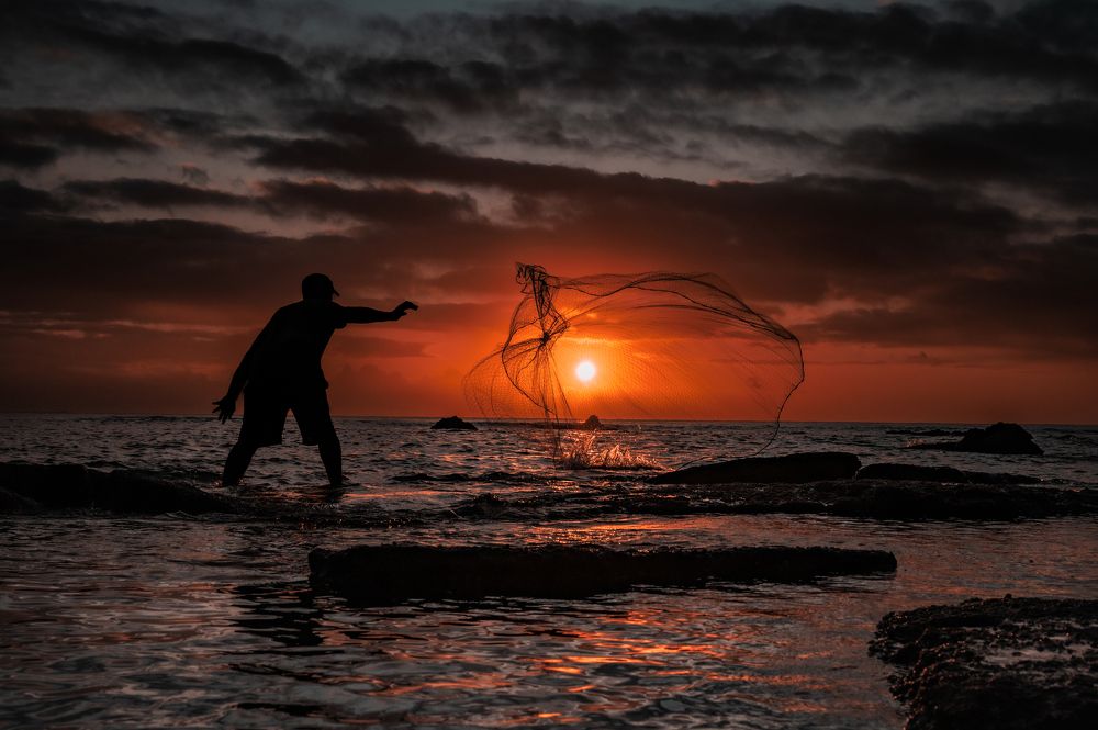 Photograph by Hayley van de Moortele