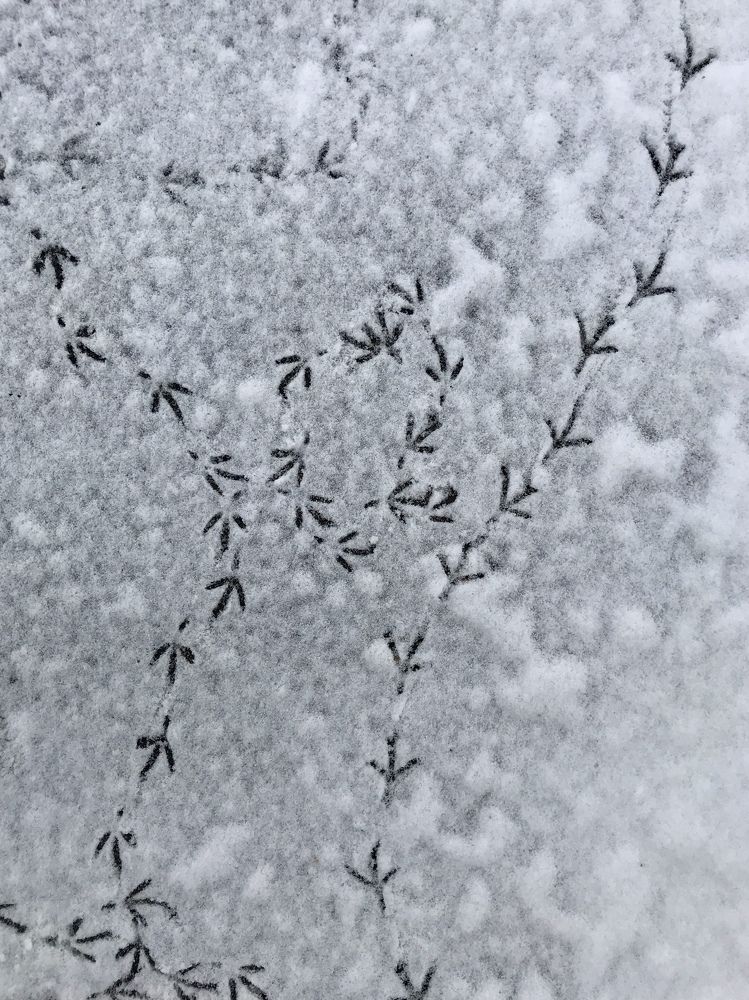 Photograph by Димитрий Осинцев