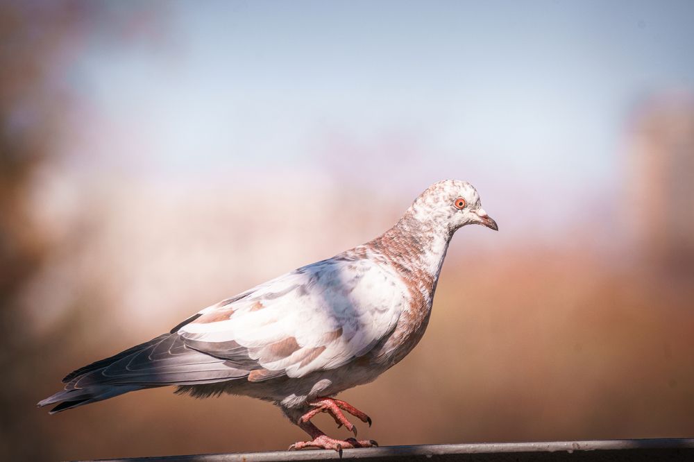 Photograph by Ольга Рачилова