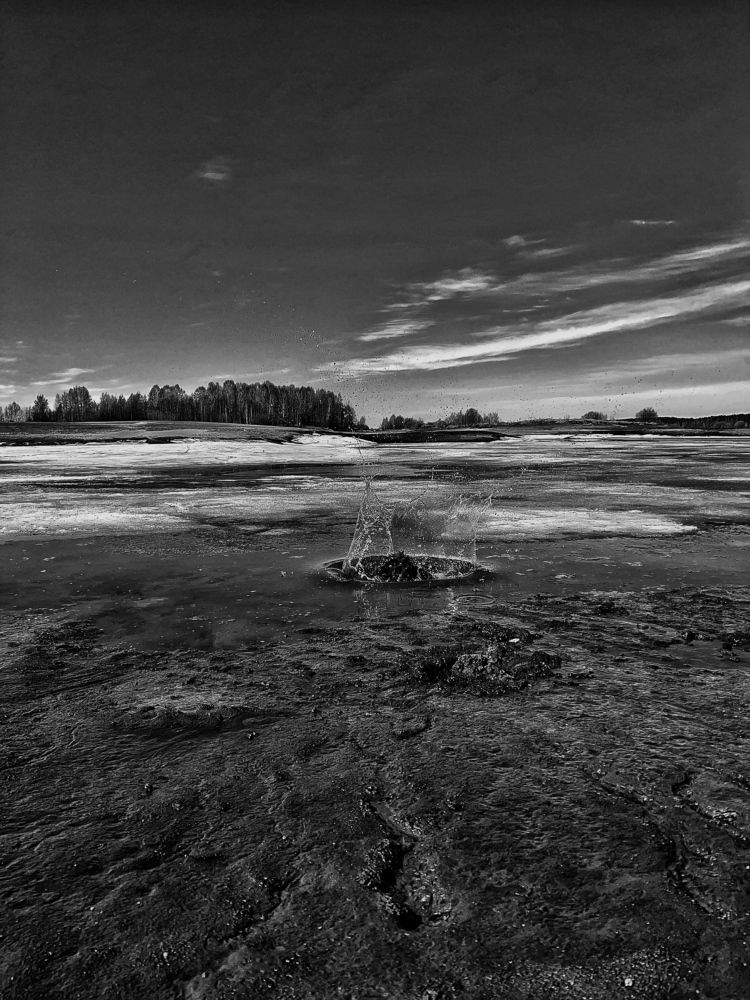 Фотография автора Виктория Ильина