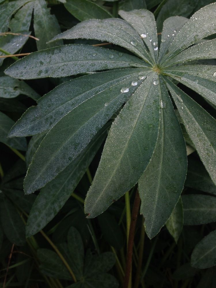 Photograph by Максим