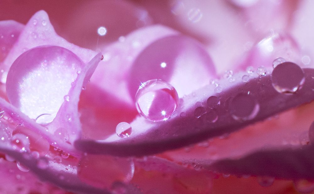 Photograph by Нина Любарская-Мерц