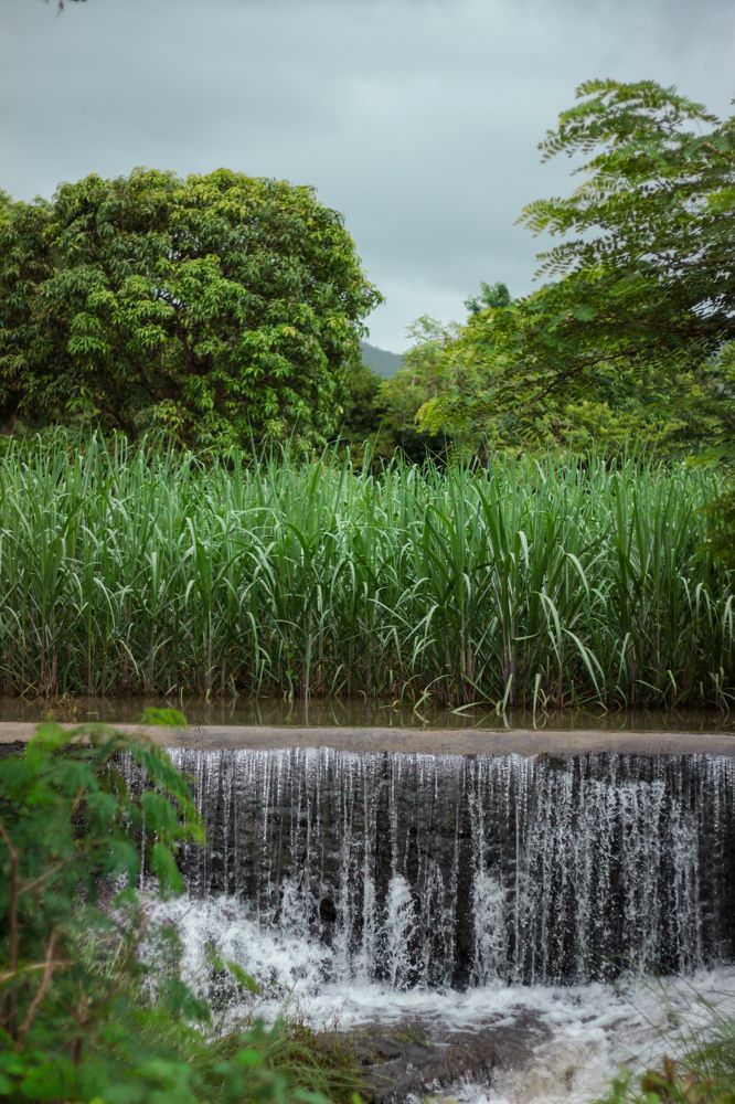 Фотография автора Aniket