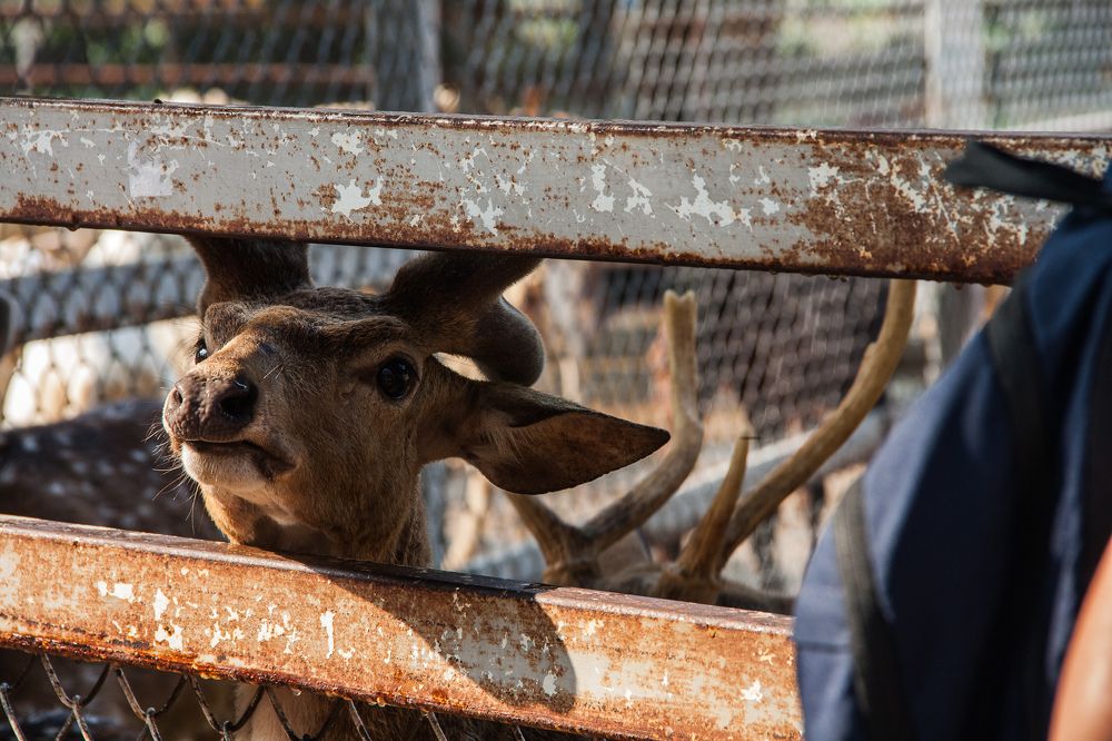 Photograph by Мария