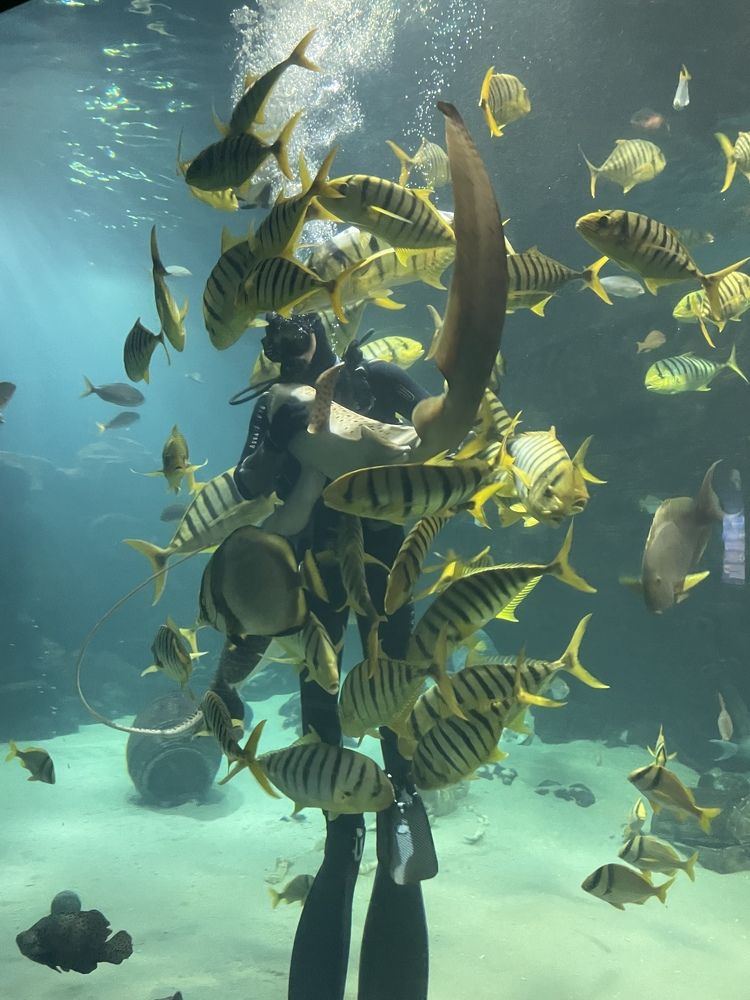 Photograph by Леся Ладова