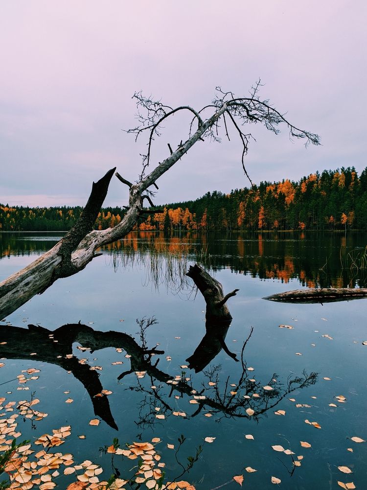 Photograph by Евгений Лазарев