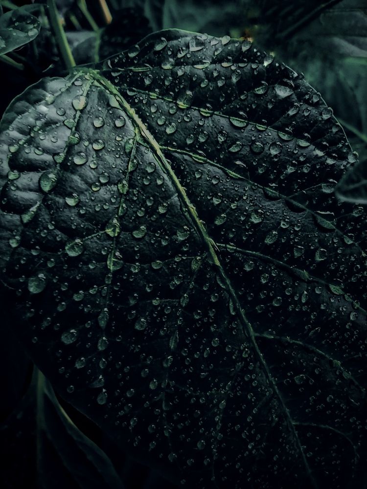 Photograph by Светлана Барабанова