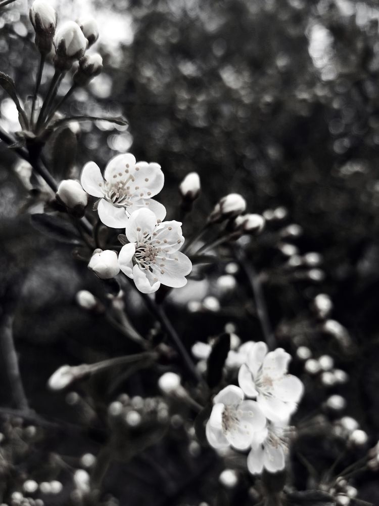 Photograph by Светлана Барабанова