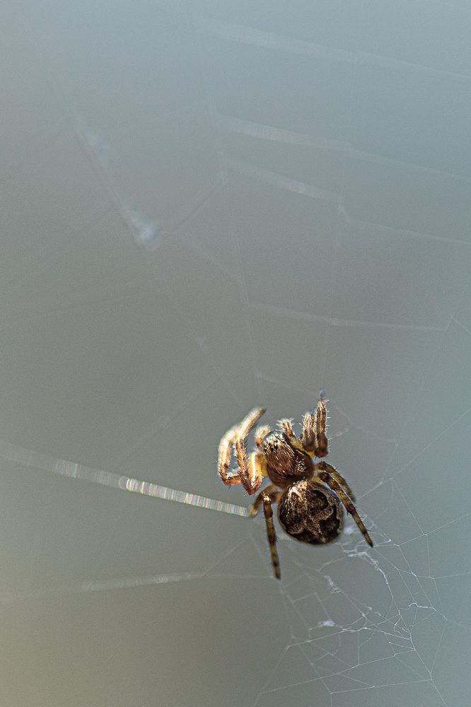 Photograph by Юлия Курская