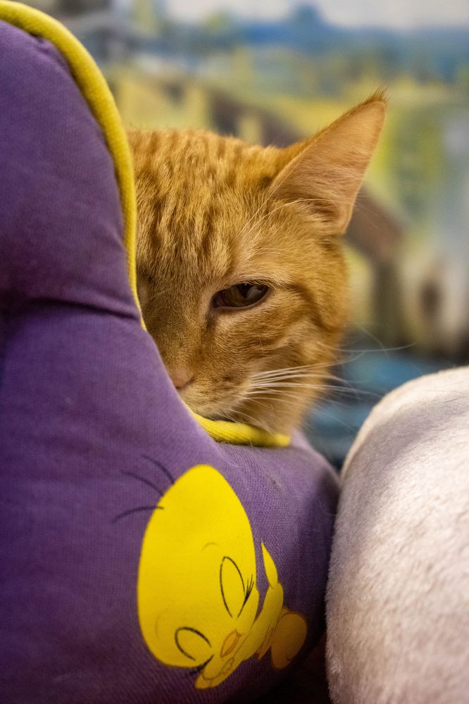 Photograph by Юрий Катков