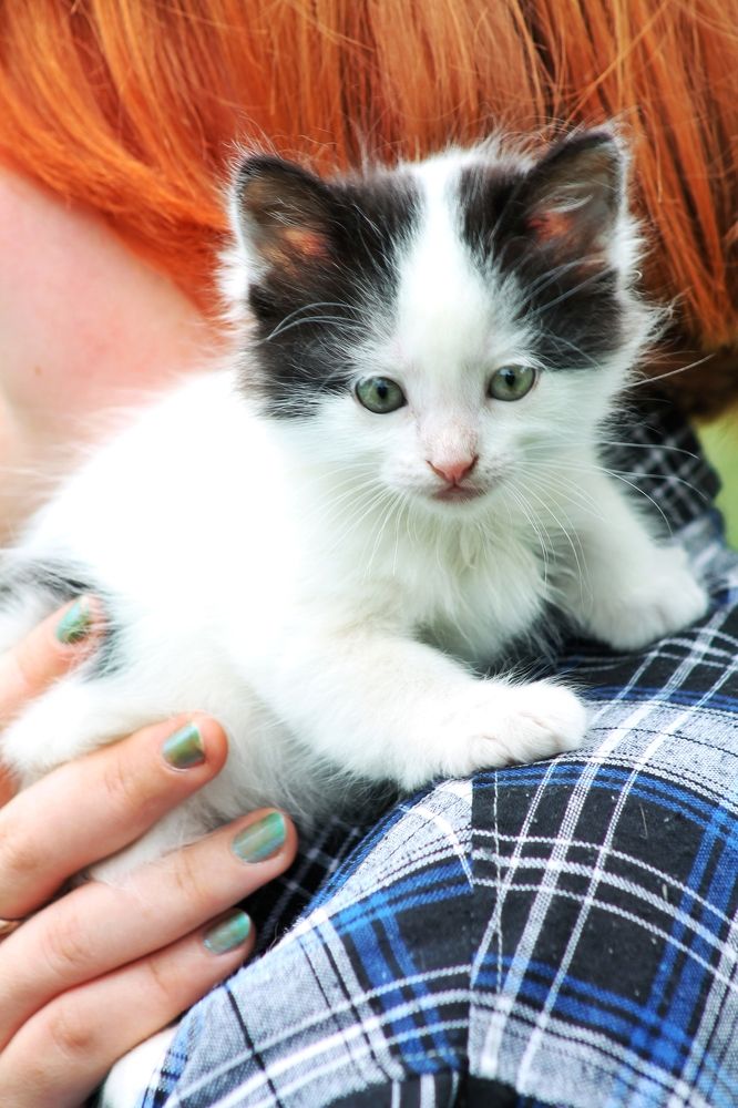 Photograph by Дарья Лазарева