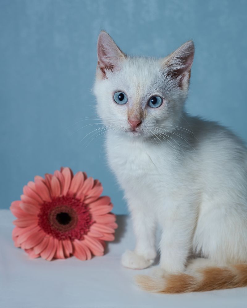 Photograph by Ирина Секачева