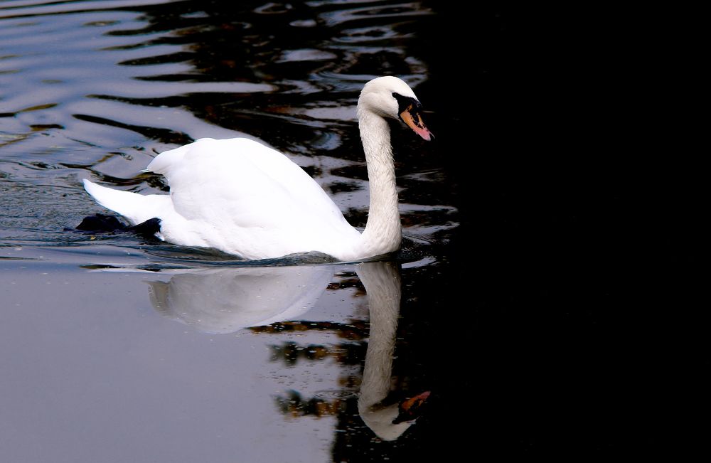 Photograph by Sajad Nori