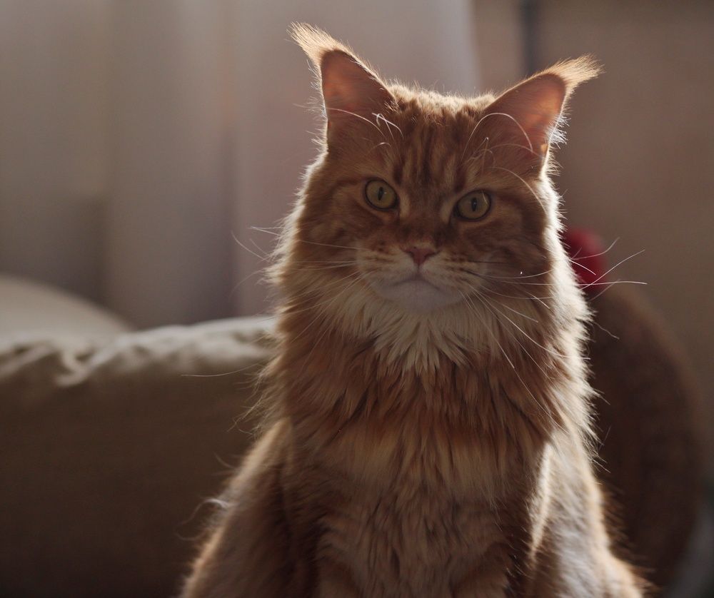 Photograph by Анжелика Медведева