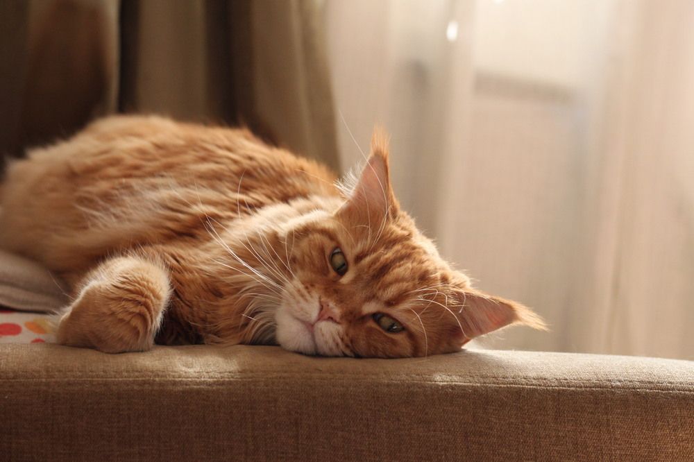 Photograph by Анжелика Медведева