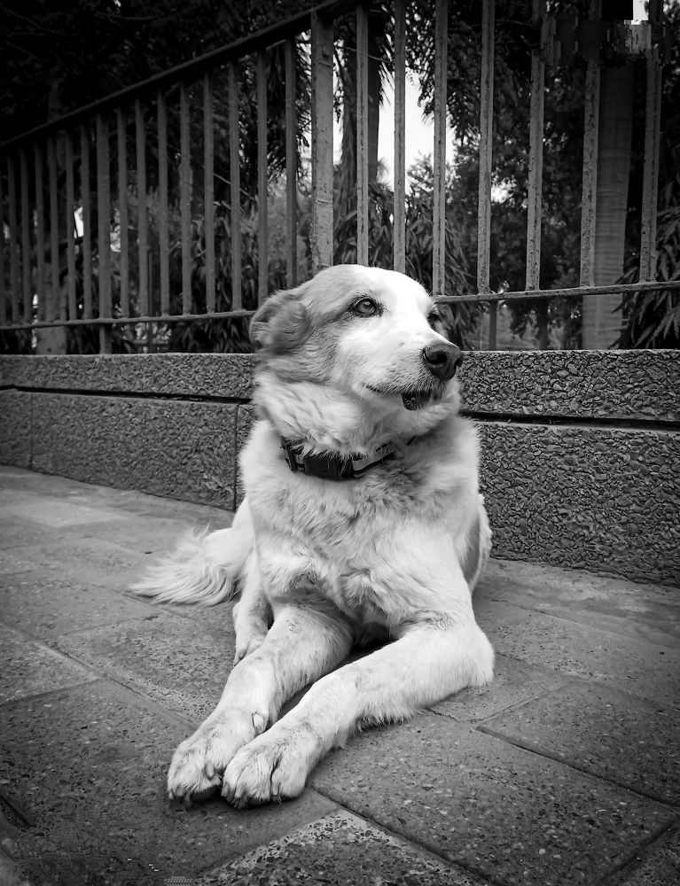 Photograph by Saurabh