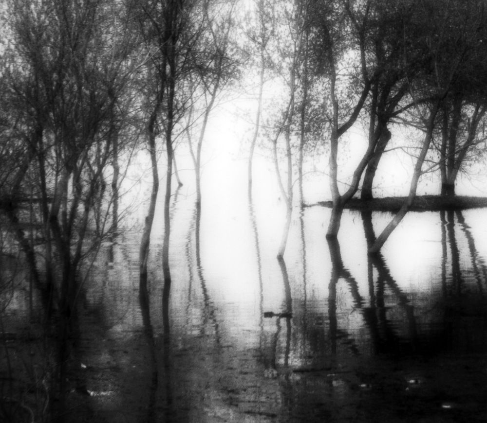 Photograph by Светлана