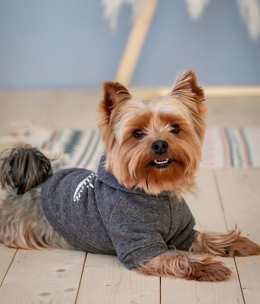 Photograph by Юлия Кудинова