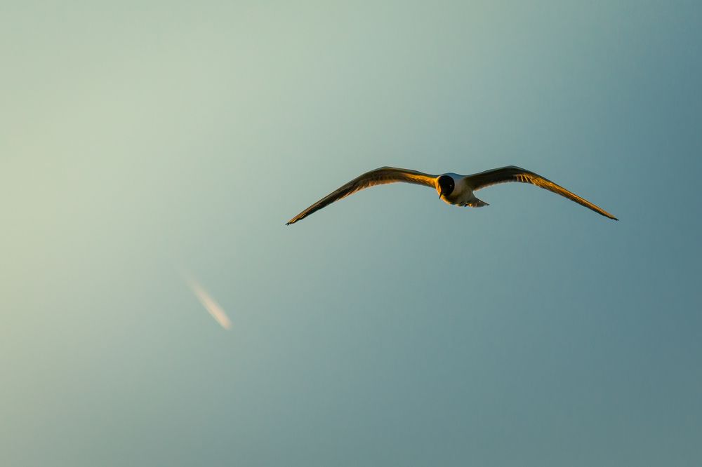 Photograph by Олег Бережных