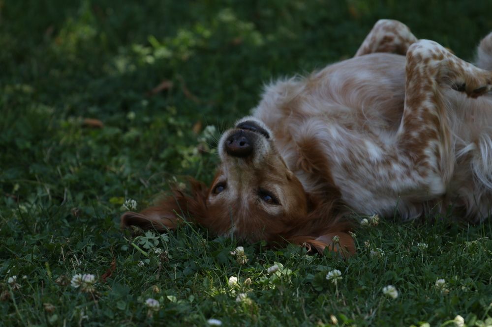 Photograph by Markéta Mastešová