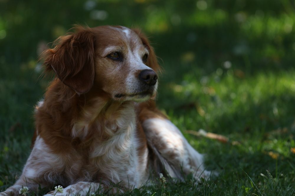 Photograph by Markéta Mastešová