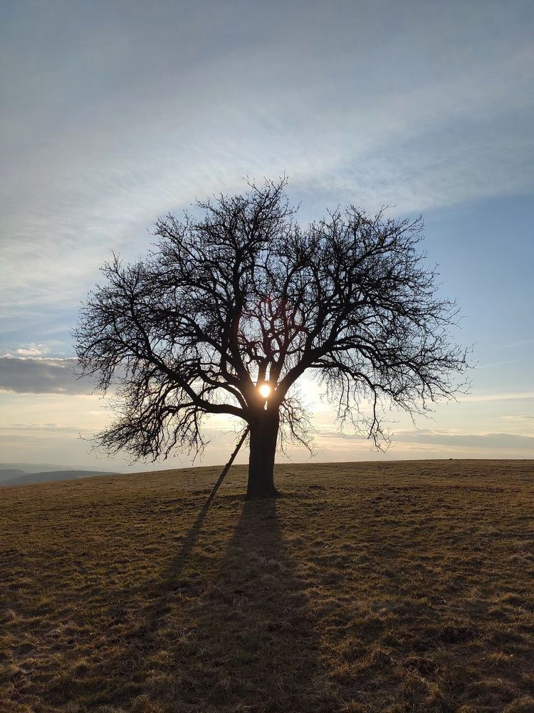 Photograph by Markéta Mastešová