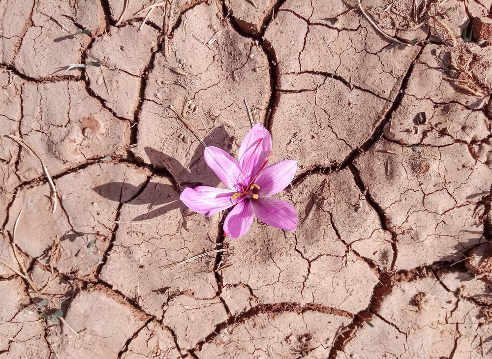 Photograph by Soulaimane El waanabi