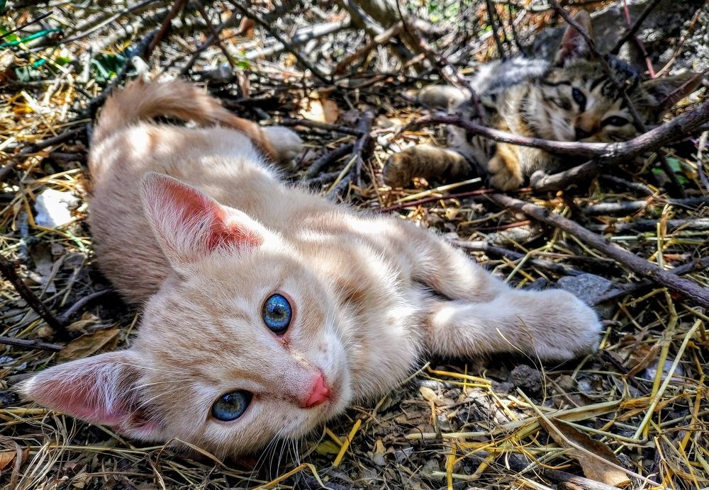 Посмотри в мои глаза