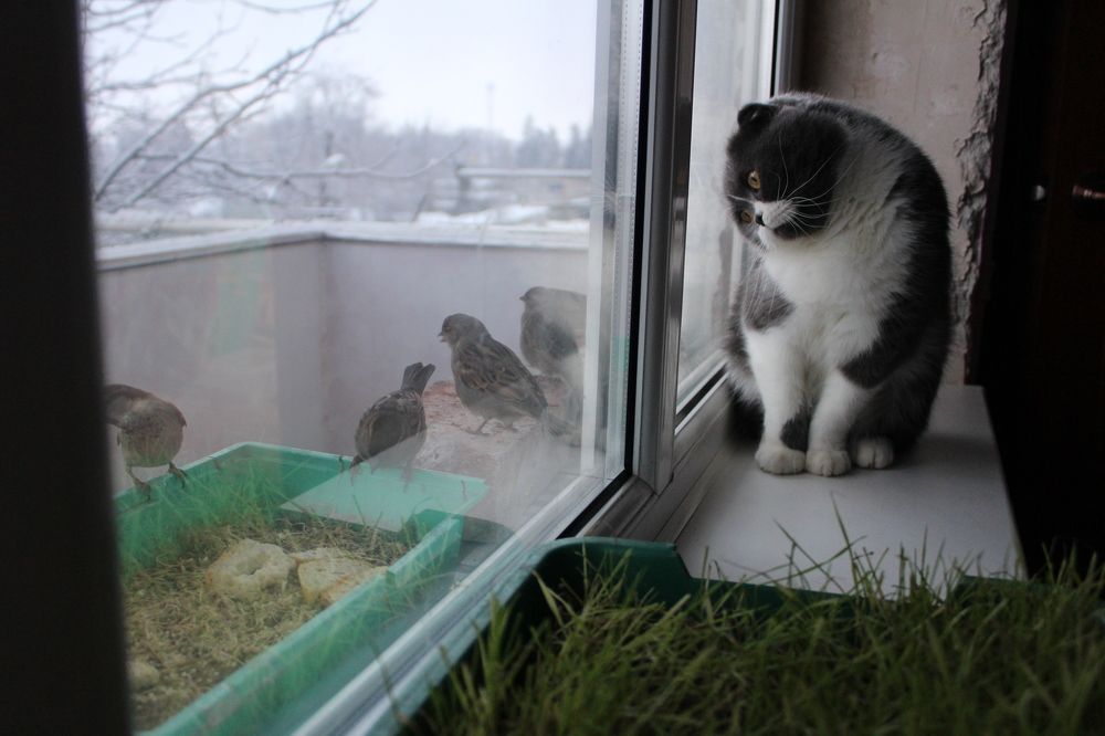 Photograph by Люция Кутлугужина