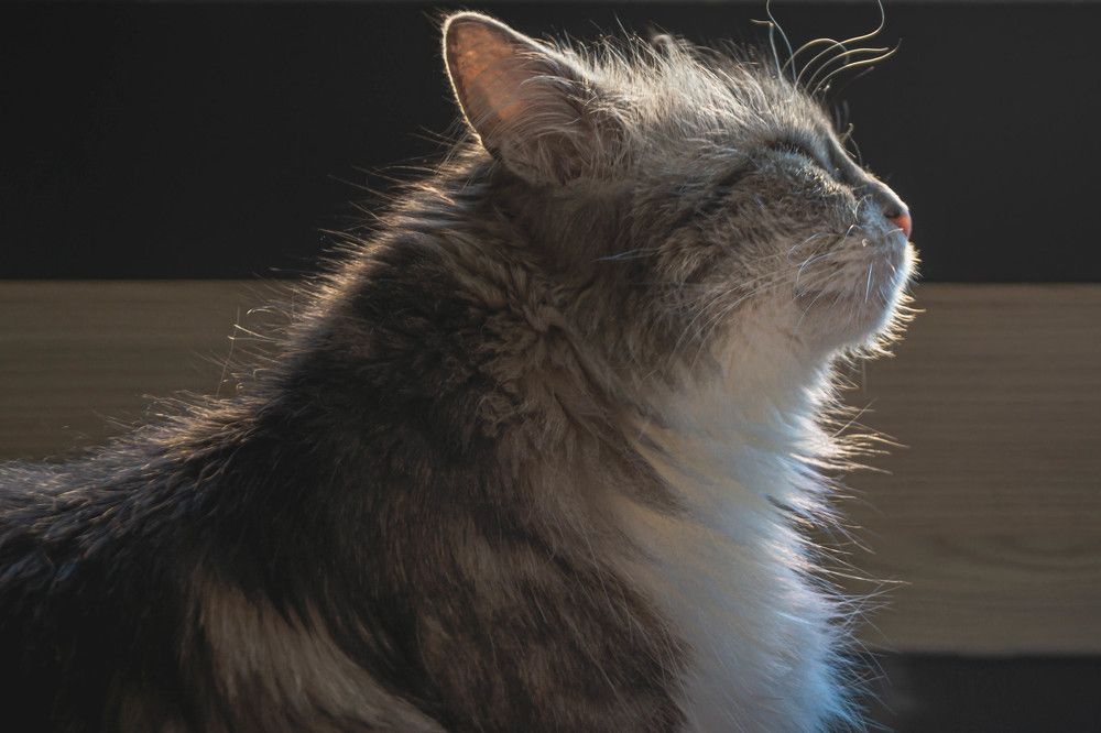 Photograph by Светлана Гонская