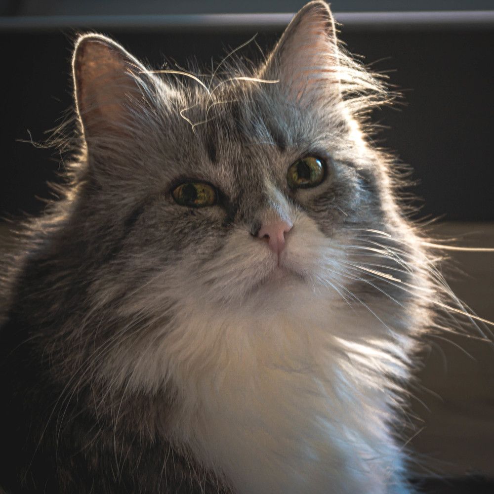 Photograph by Светлана Гонская