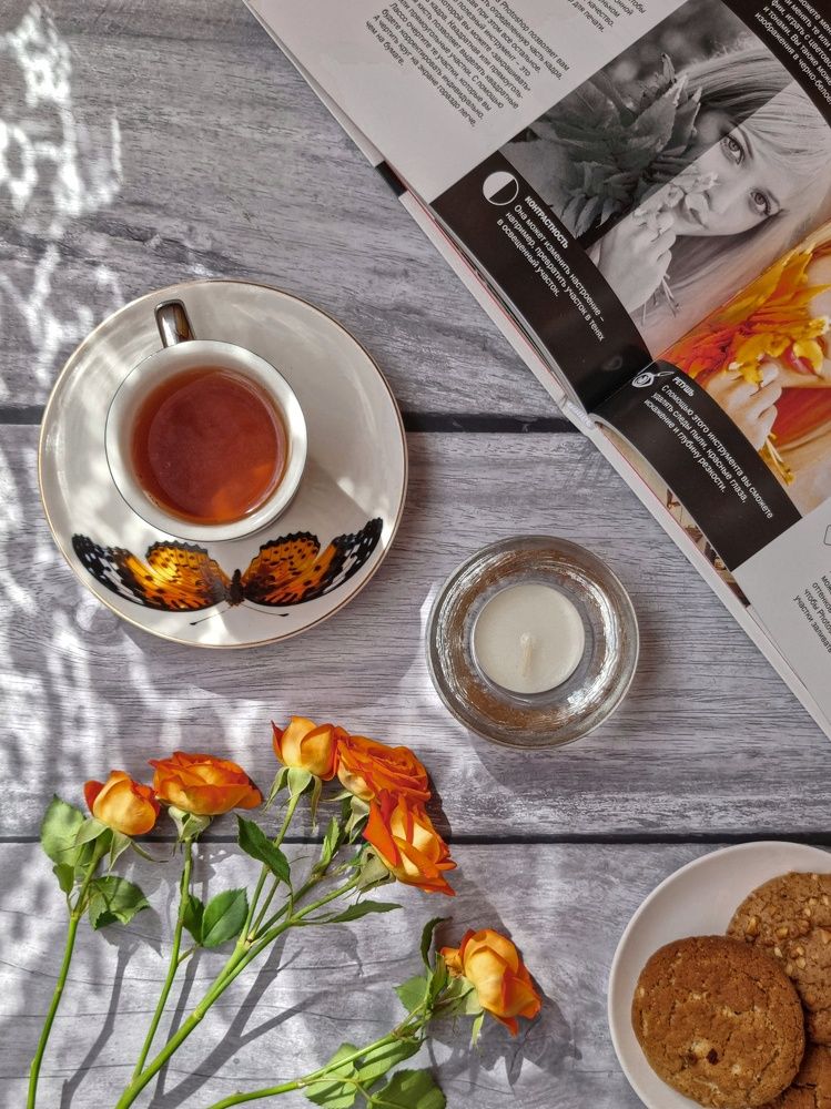 Фотография автора Светлана Алексеева