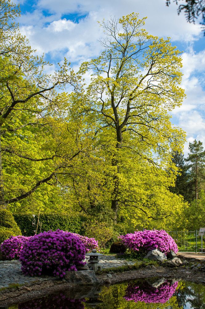 Photograph by Юрий Катков