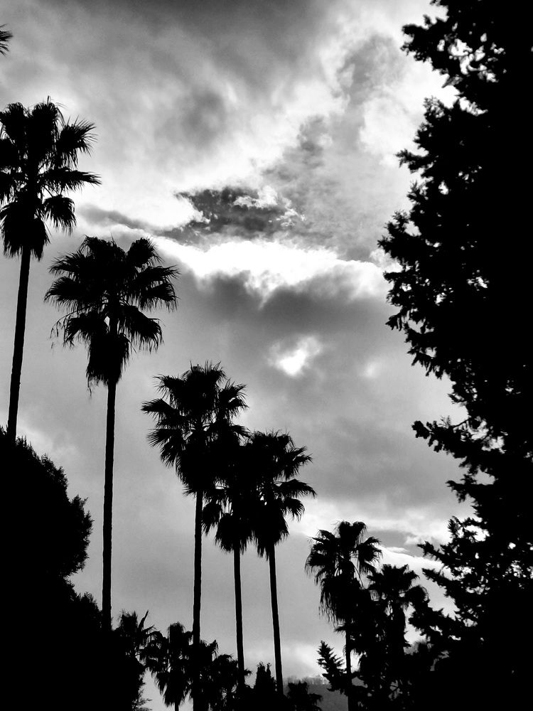 Photograph by amin karimi