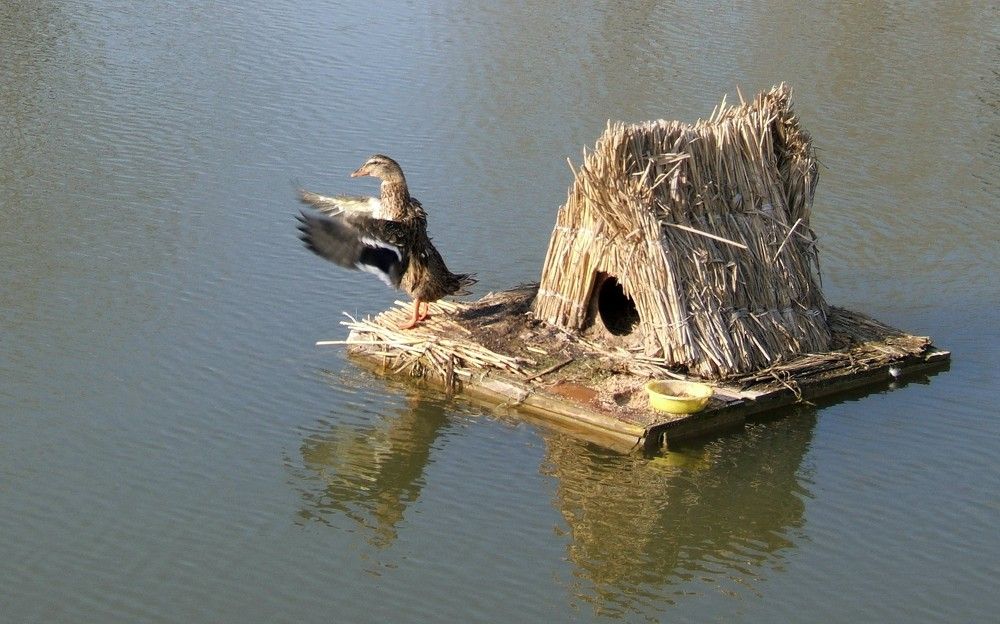 Photograph by Сергей Рудаков