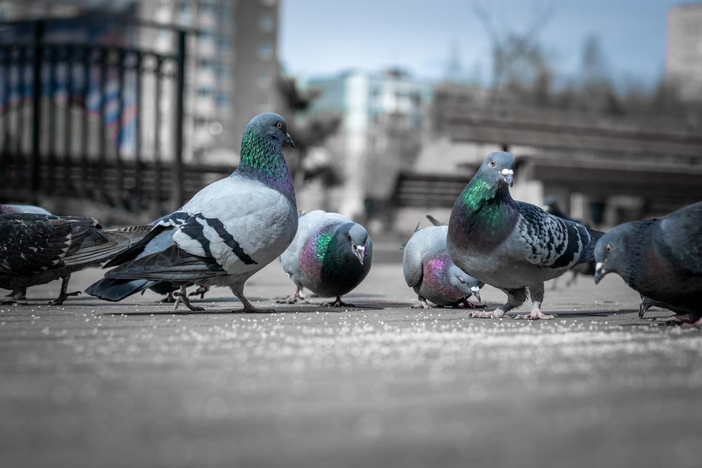 Photograph by Екатерина Абрамова