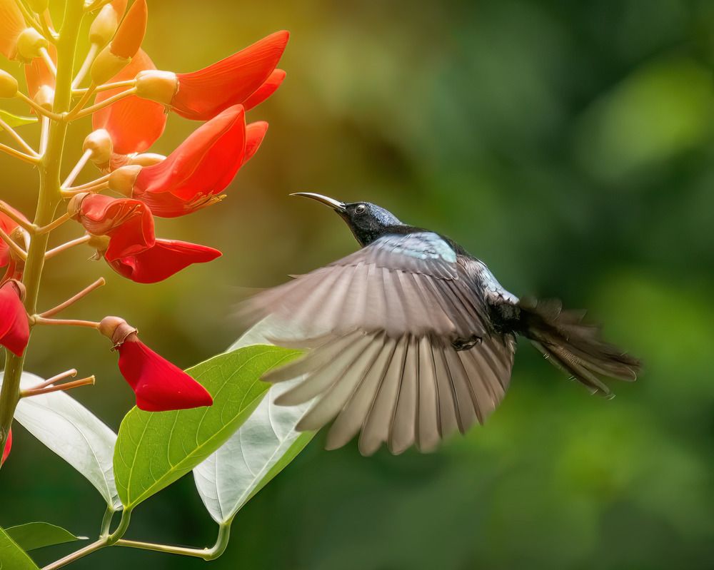 Фотография автора Toan Dinh