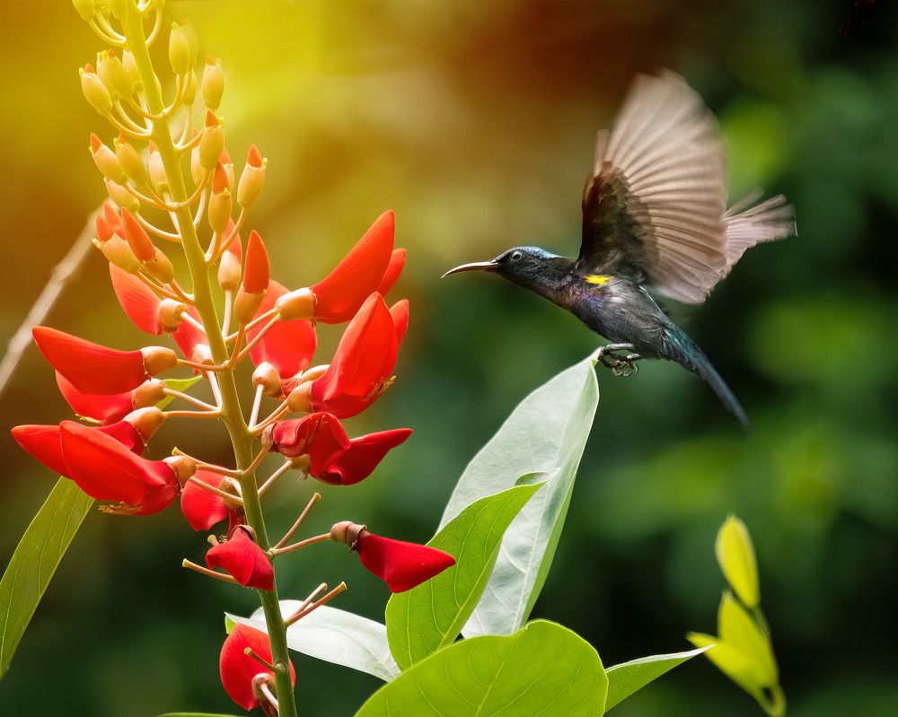 Фотография автора Toan Dinh