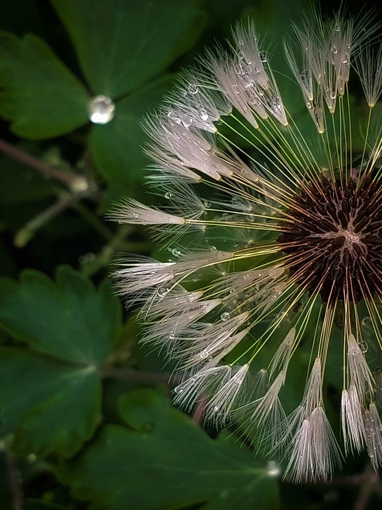 После дождя