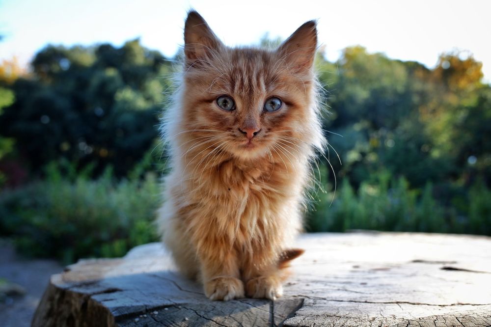 Photograph by Зорин Миша