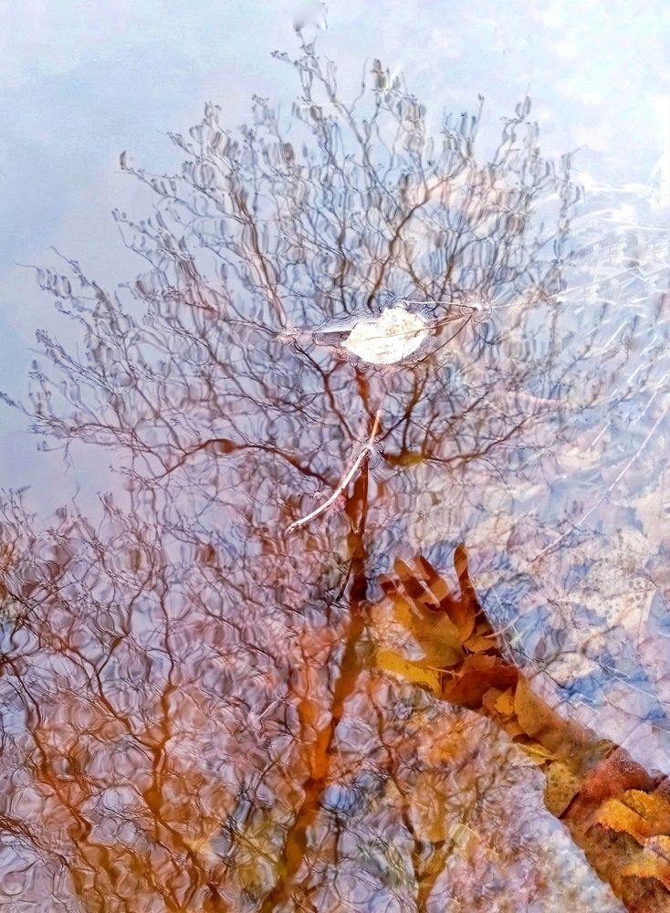 Отражение весны.